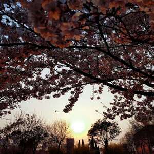 久久精品免费老师自慰
