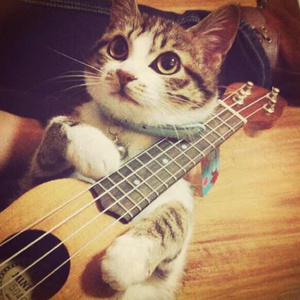 久久精品免费老师自慰
